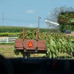 OTRA_2017_CN_0096 (August 24, 2017)